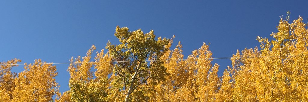 UCC UkrCanadian Arts banner