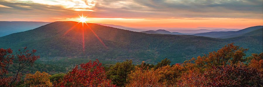 Catholic HODL ✝️🇺🇸🇻🇦⚡️ banner