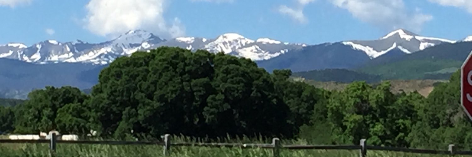 captender's profile banner image