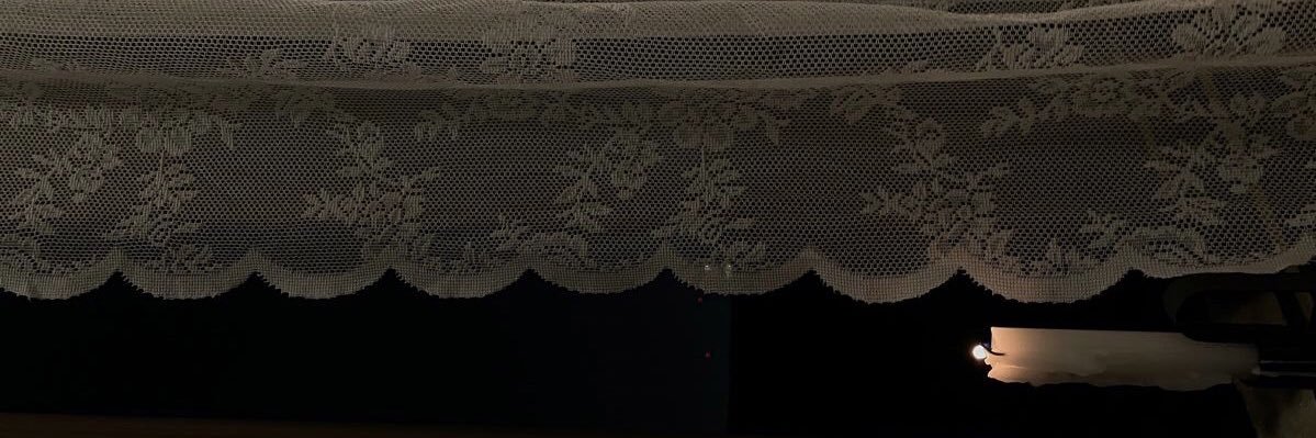 laras banner