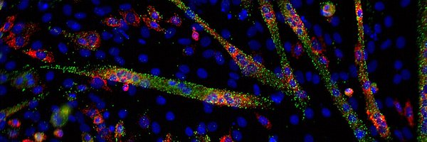 OUBioSci Profile Banner