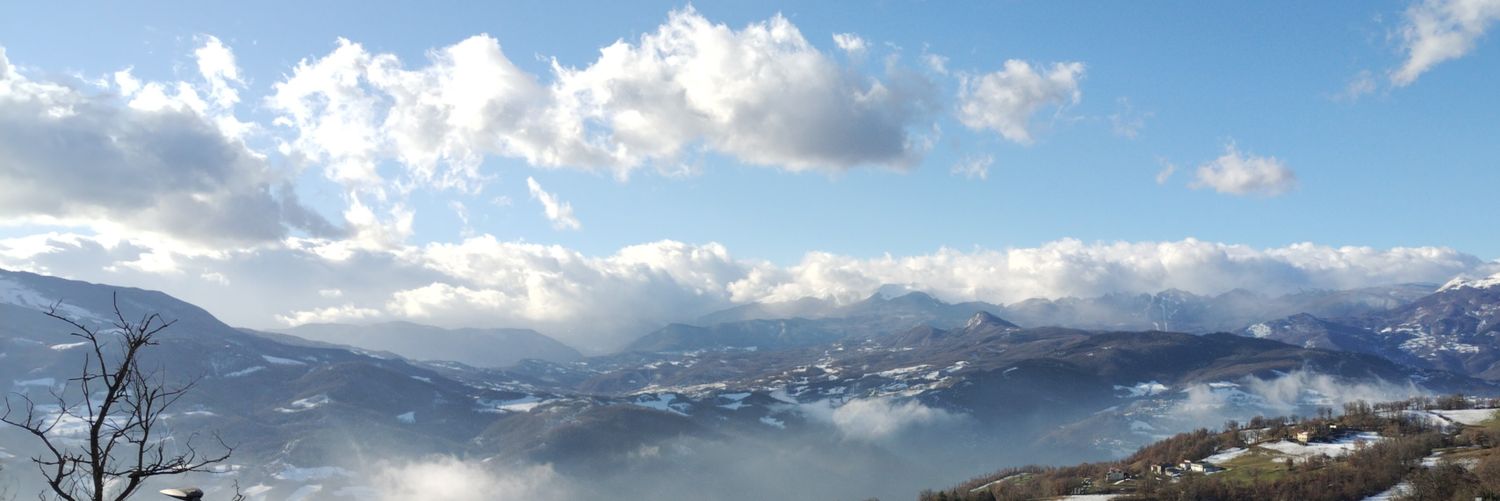 Luca Manfredini banner