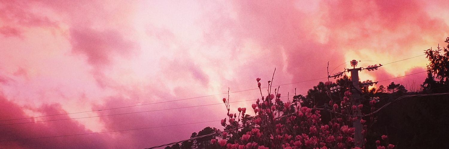 brizaminore's profile banner image