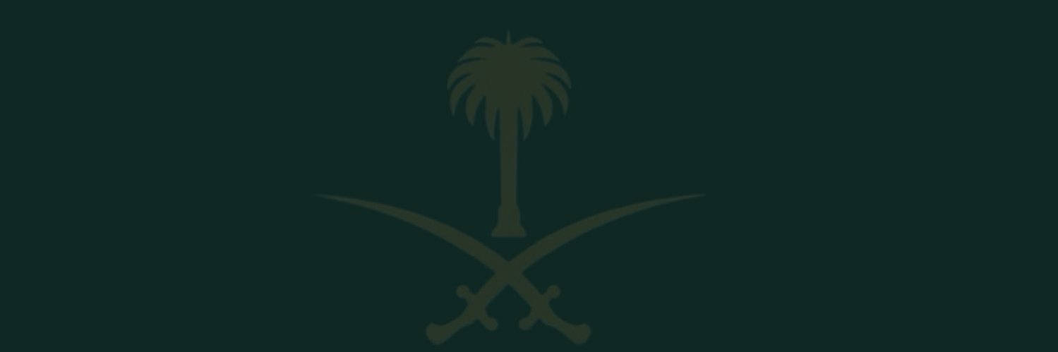 SAMIA_22_2's profile banner image