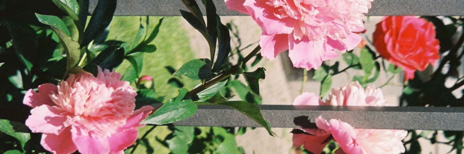 janishername's profile banner image