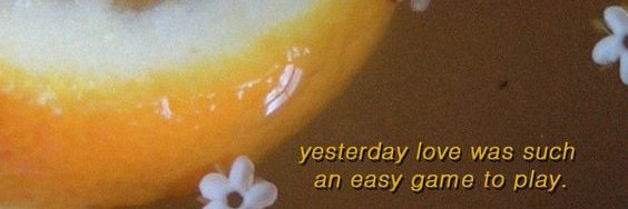 lem_marsh's profile banner image