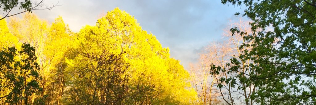 Betsaida_11's profile banner image