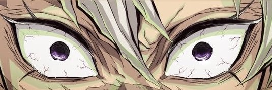Zouzou banner