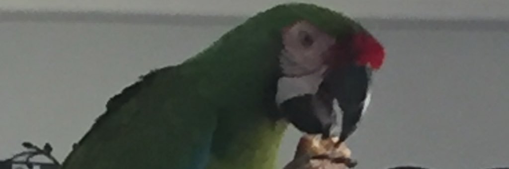 frankc8083's profile banner image