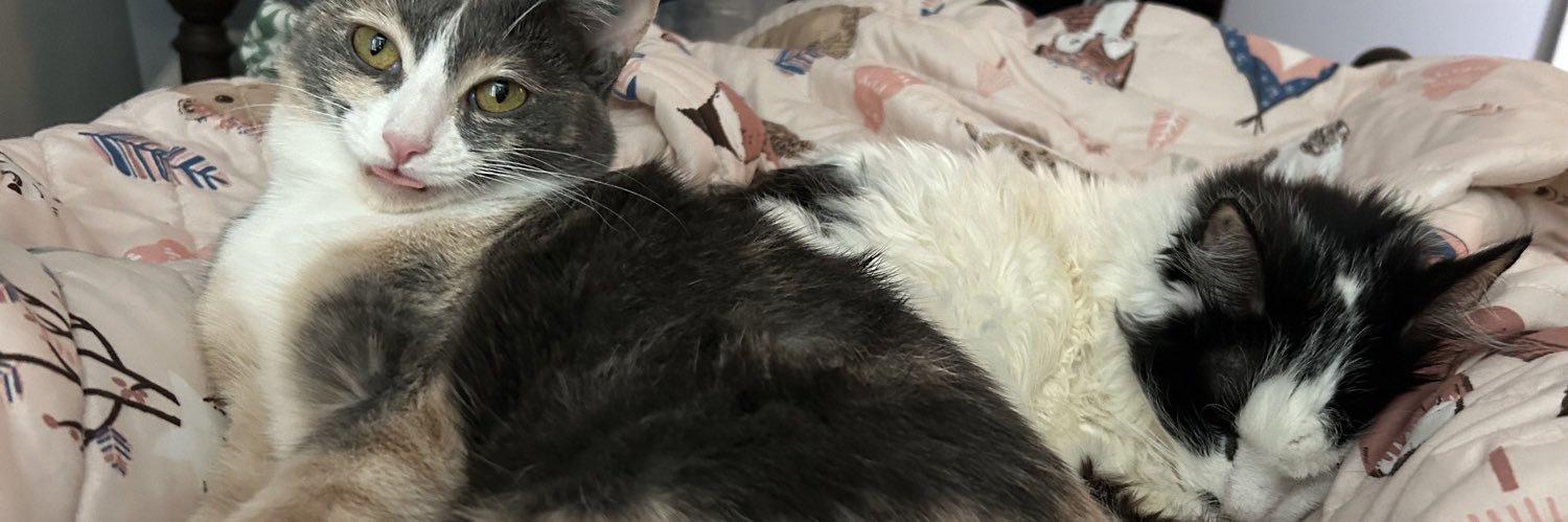 oreo & monkey's banner