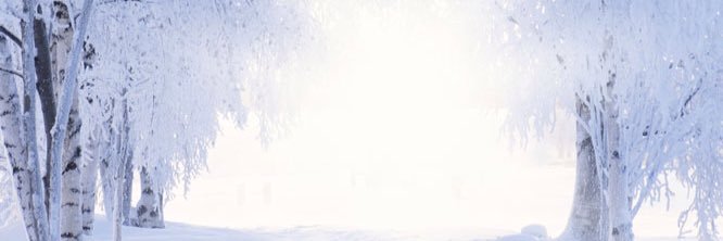 angie_pp1's profile banner image