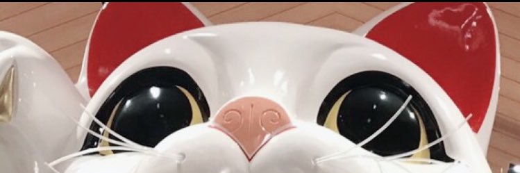 udon0729's profile banner image