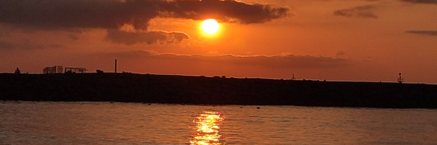 LuvyLimongi's profile banner image