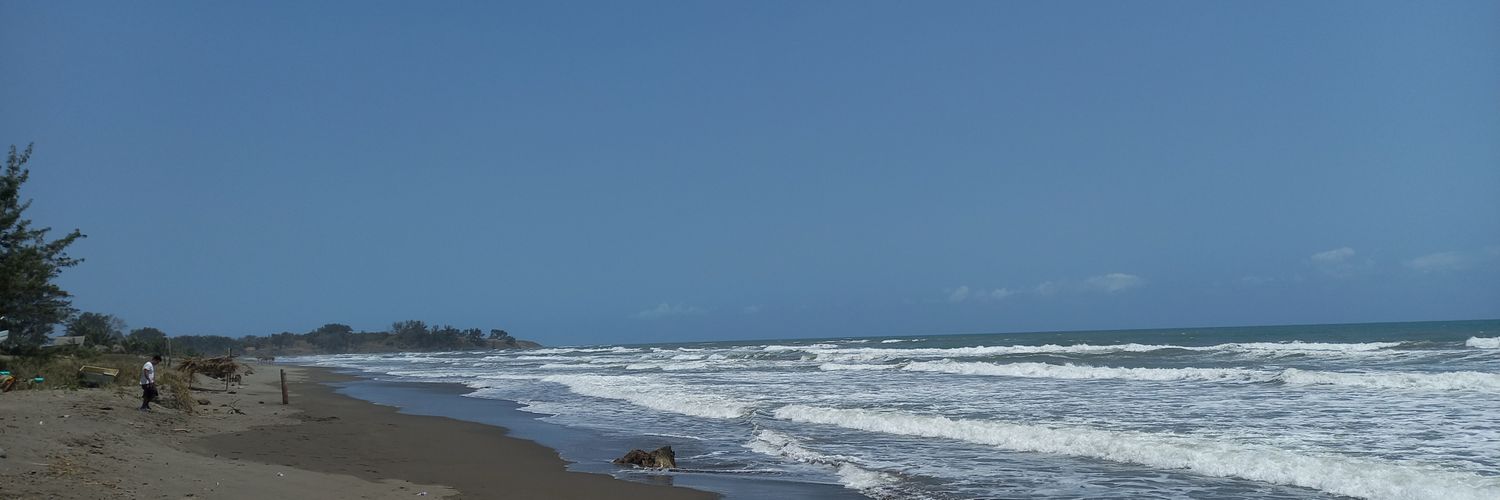 Michelle banner