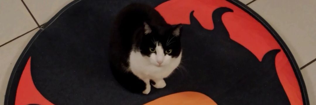 BrunowCarrot's profile banner image