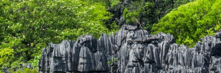 HeniHaddad's profile banner image