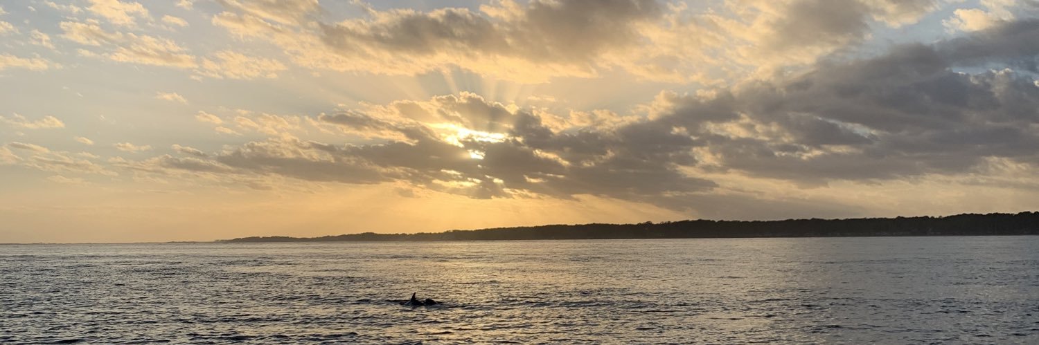 Beth Allen-Boyle (she/her) banner