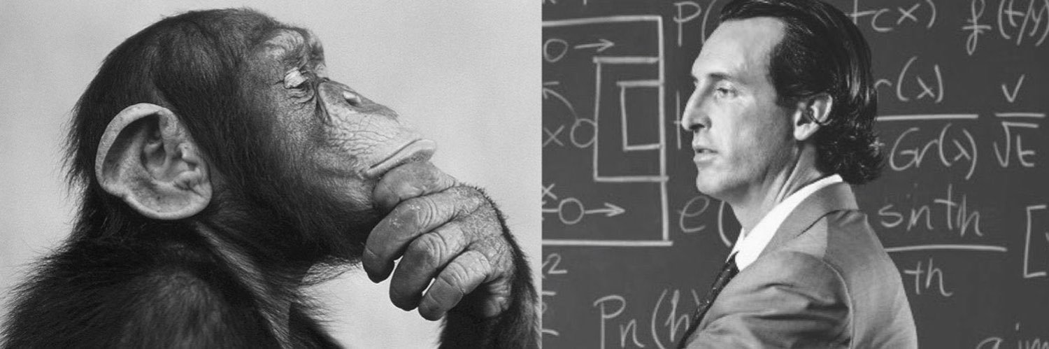 Alix🖤🩶💜🤍🇵🇸 banner