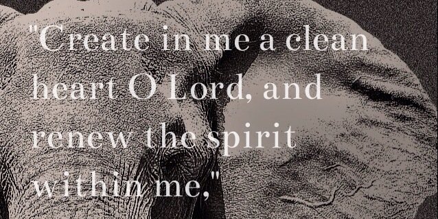 Oslarrylaw's profile banner image