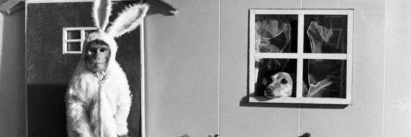 albertoolano's profile banner image