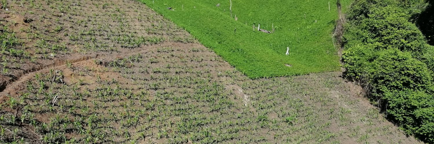 Carlos Pernía banner