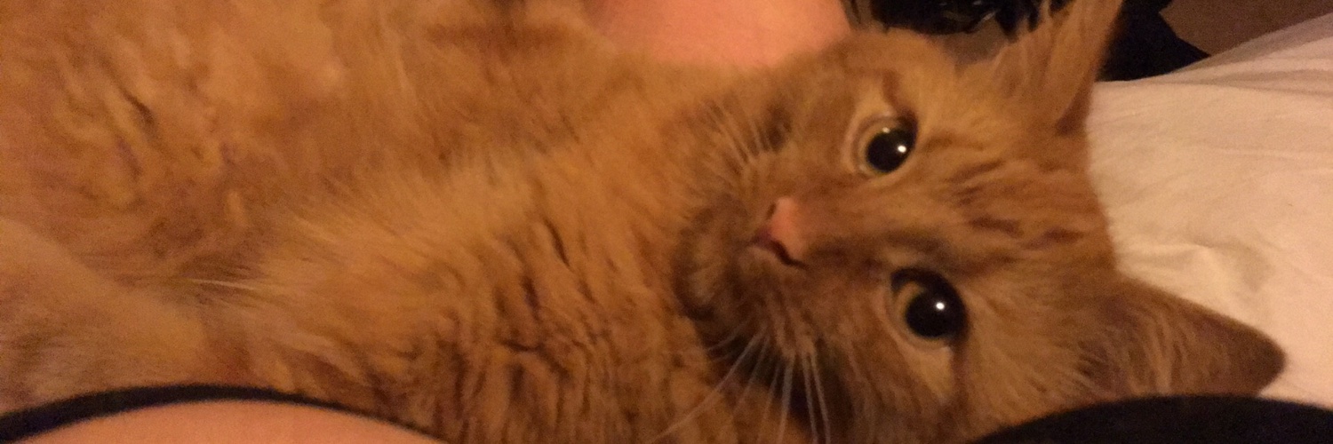 Ginger Charlie banner