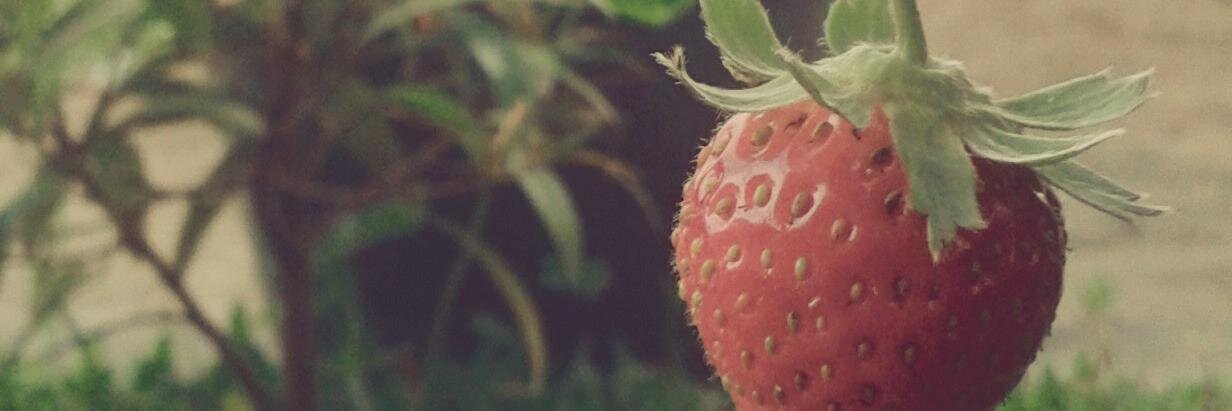 fida_amina's profile banner image
