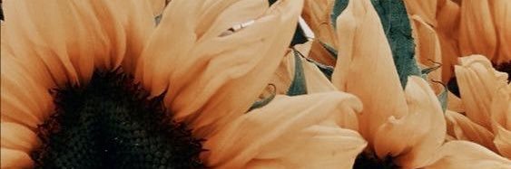 sdervish17's profile banner image