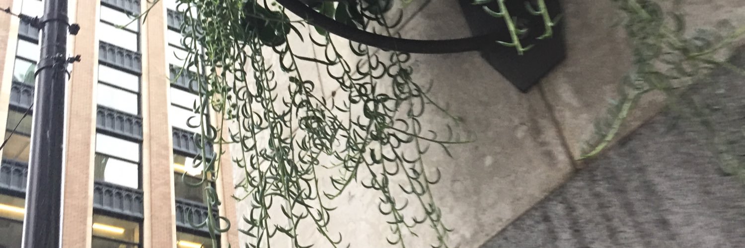 DiazepamVixen's profile banner image