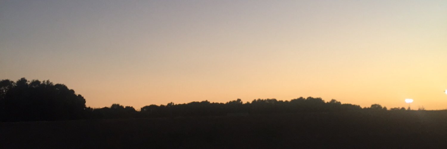 melindafinney9's profile banner image
