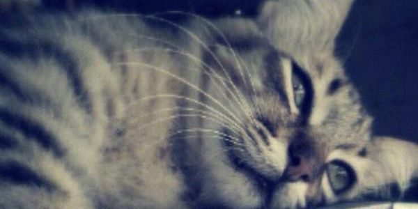 TERRY05LEON's profile banner image