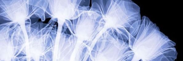 emittingpassion's profile banner image