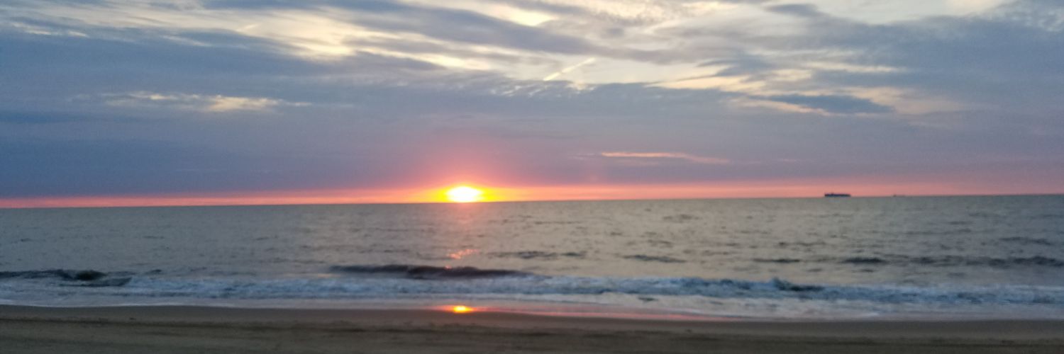 Gooseiam's profile banner image