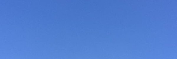 alisonarchivist Profile Banner