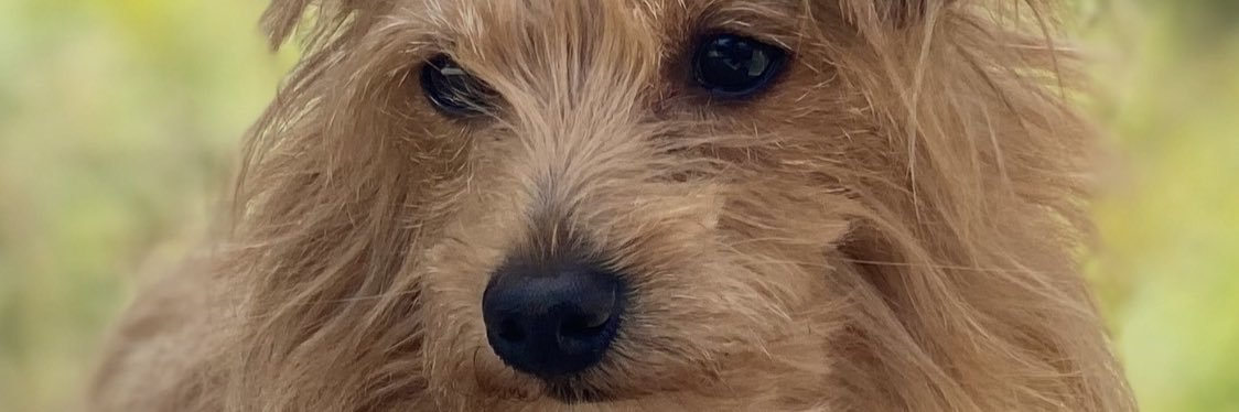 xxBezaaa's profile banner image