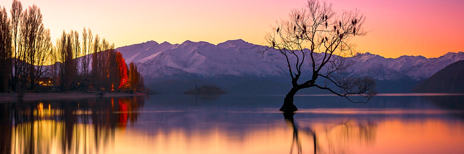 Peter Bergman 💙💛 banner