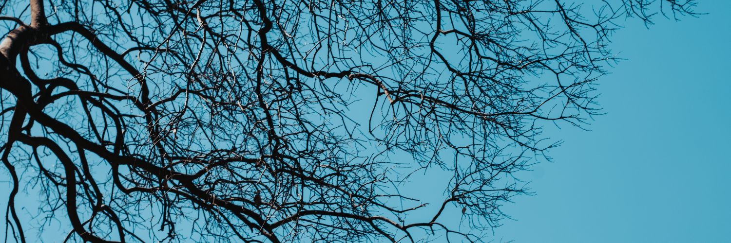 AleNugui's profile banner image