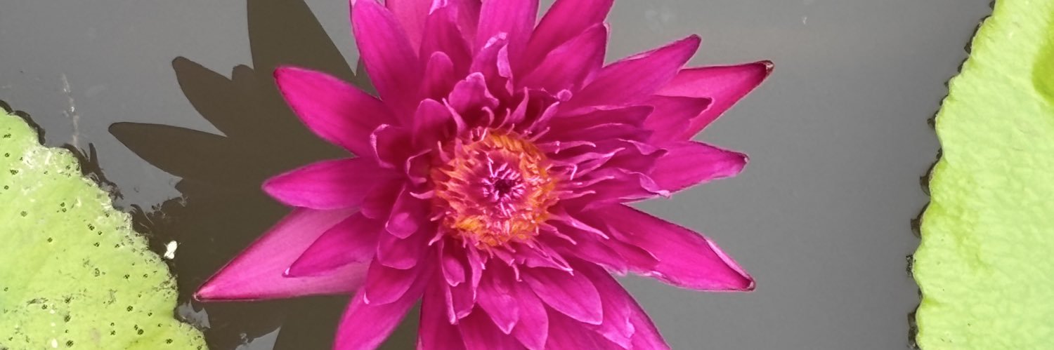 peacewith28's profile banner image