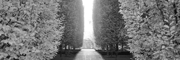 augieray Profile Banner