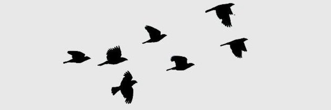 VulturePripr's profile banner image