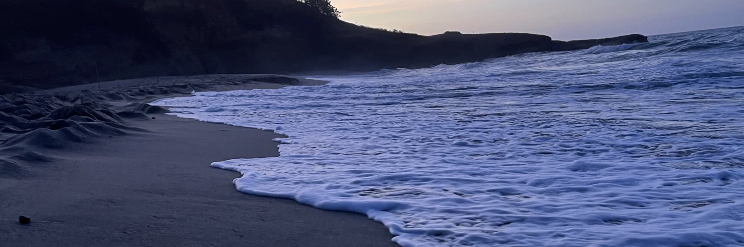 gabrielagraz_'s profile banner image