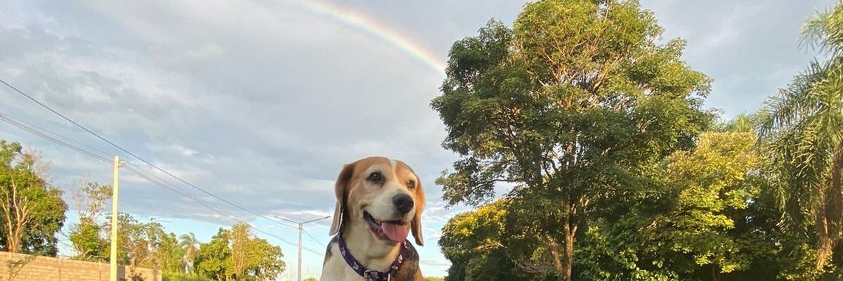 Maxiiifg10's profile banner image