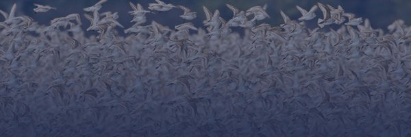 NPRBscience Profile Banner