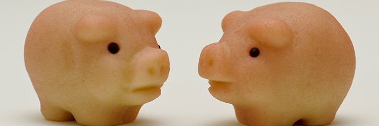 FocusLunch's profile banner image