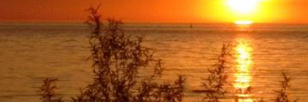 GeorgePeckPS Profile Banner