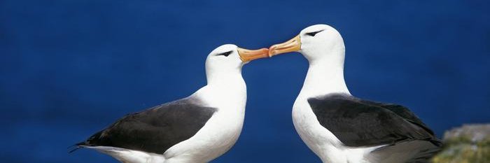 notclapp's profile banner image