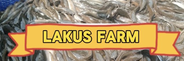 drlakusman's profile banner image