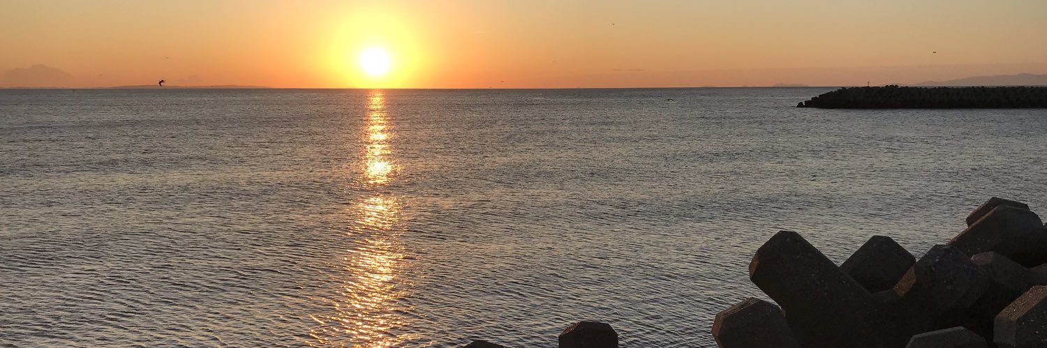 ShimeSAVAfish's profile banner image