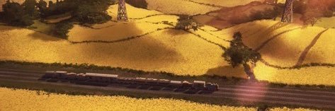 AFR banner