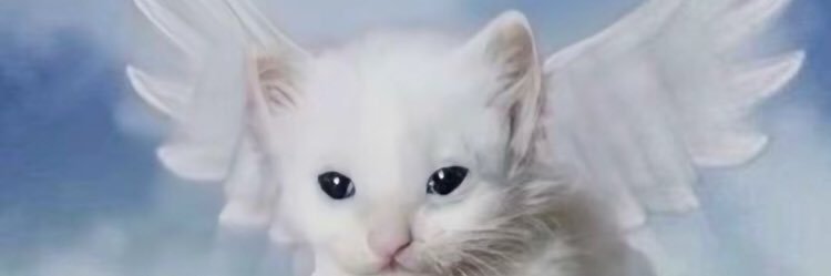 udu 😼😶‍🌫️ banner